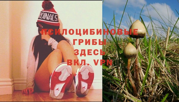 таблы Волоколамск
